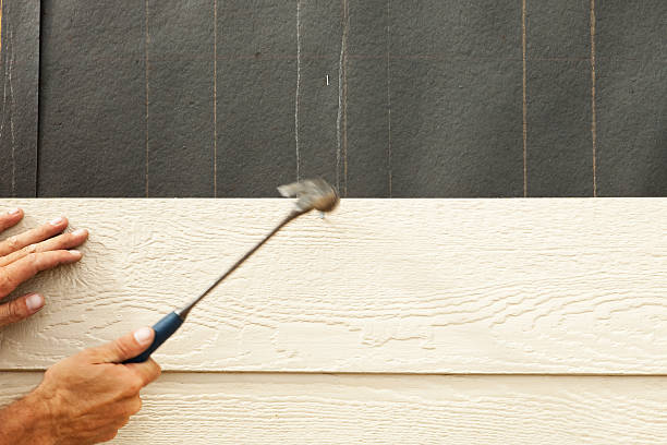 Best Siding Painting and Refinishing  in Belle, WV